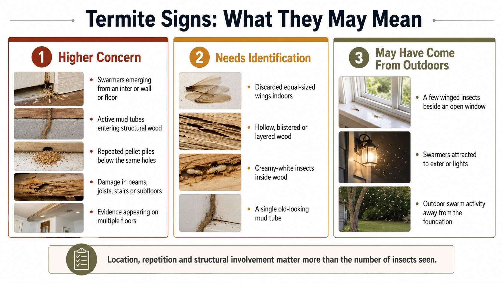 Termite signs classified as higher concern, requiring identification, or potentially originating outdoors